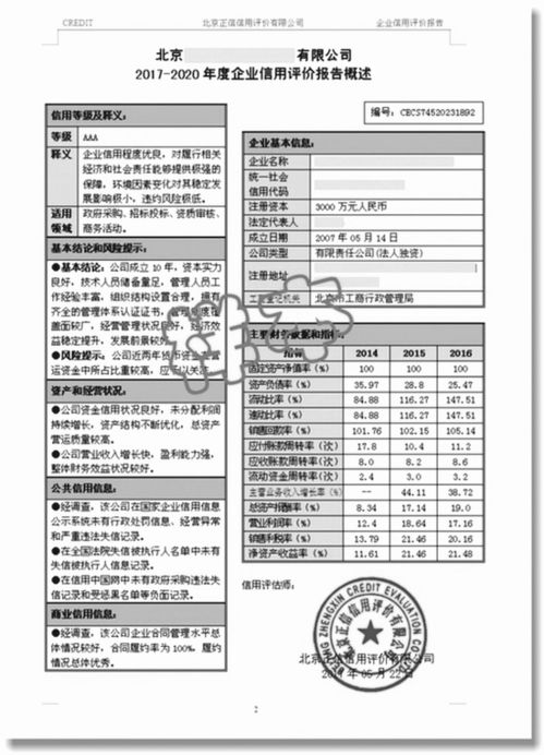 企业信用报告与社会经济咨询 赋能招投标与企业发展的关键