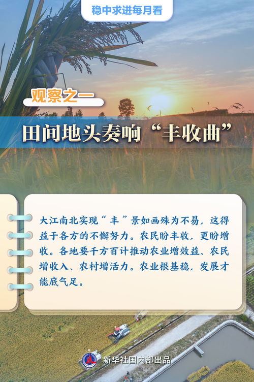 稳中求进每月看｜奋楫扬帆正当时——9月全国各地经济社会发展观察