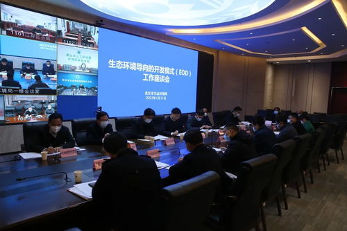 武汉市生态环境局主动服务大局，助推EOD项目落地见效的实践路径